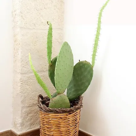Casa Donnalby Appartement