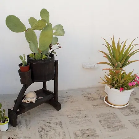 Appartement Casa Donnalby