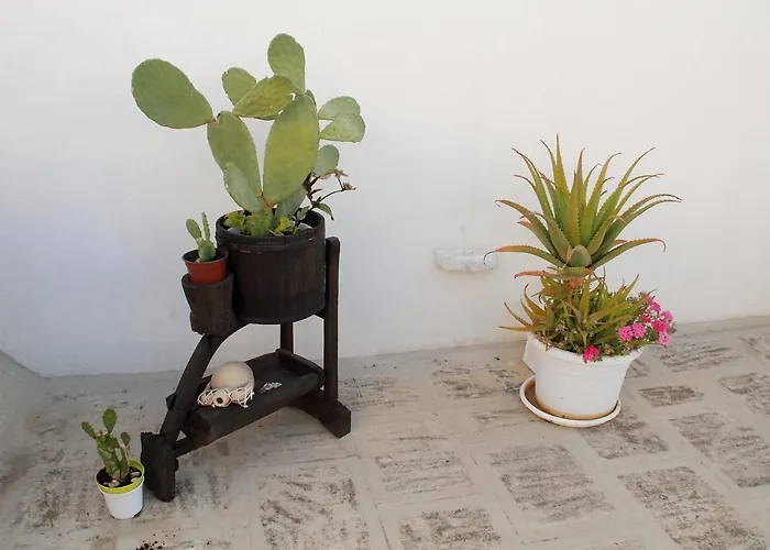 Apartment Casa Donnalby
